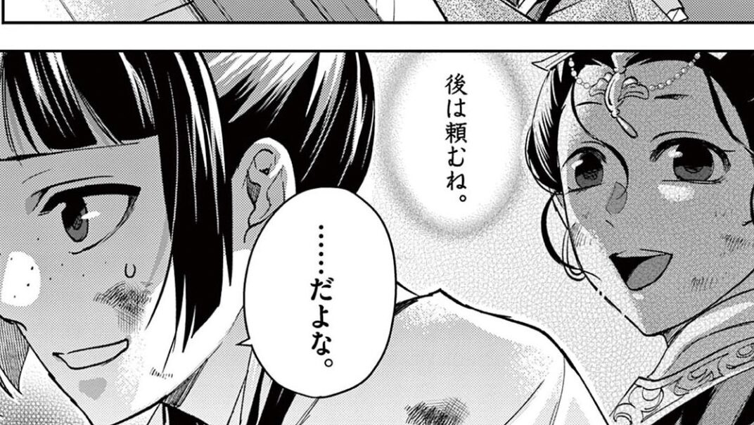猫猫が誘拐された理由②子どもたちの救出