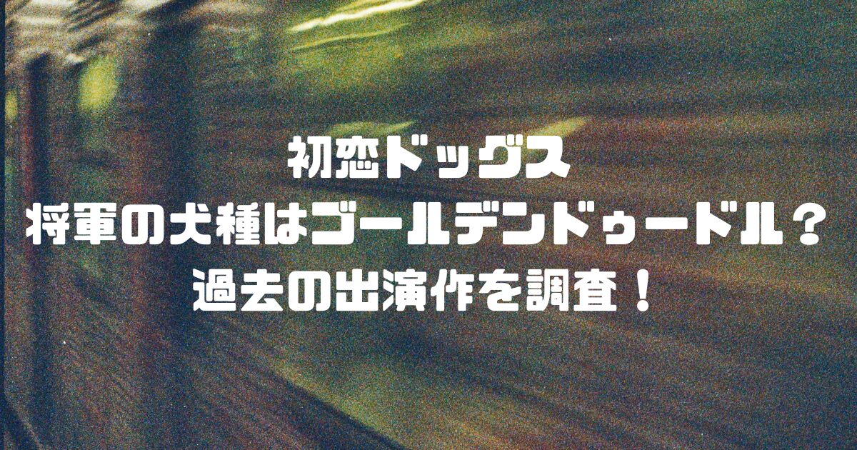 初恋ドッグスの将軍の犬種はゴールデンドゥードル？過去の出演作を調査！