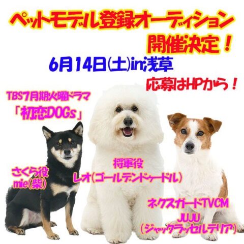 初恋ドッグスの将軍の本名や年齢は？